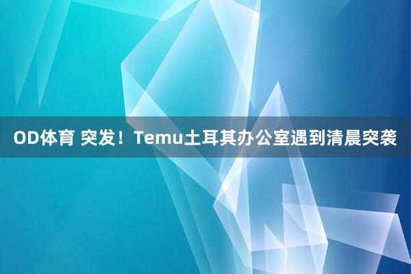 OD体育 突发！Temu土耳其办公室遇到清晨突袭
