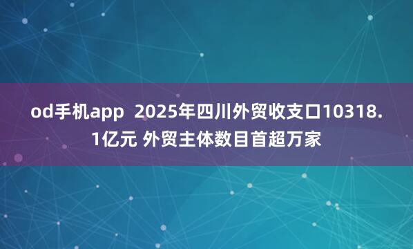 od手机app  2025年四川外贸收支口10318.1亿元 外贸主体数目首超万家