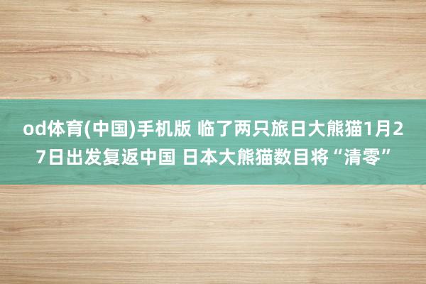 od体育(中国)手机版 临了两只旅日大熊猫1月27日出发复返中国 日本大熊猫数目将“清零”