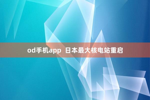 od手机app  日本最大核电站重启