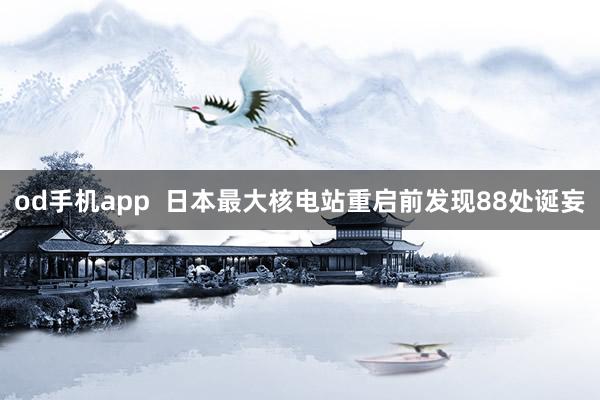 od手机app  日本最大核电站重启前发现88处诞妄