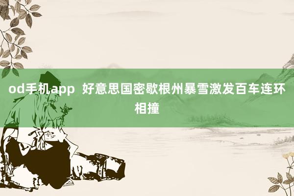 od手机app  好意思国密歇根州暴雪激发百车连环相撞