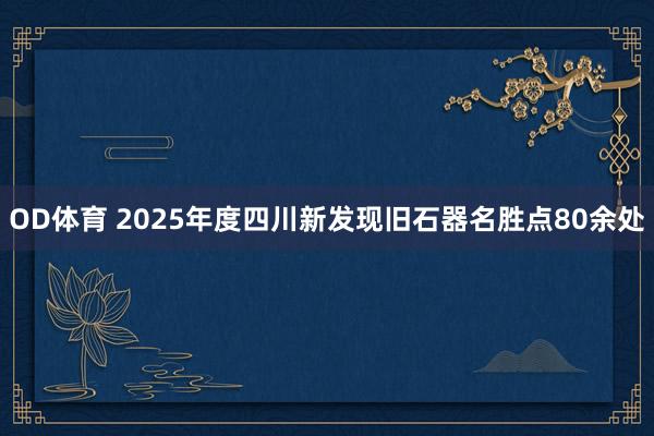 OD体育 2025年度四川新发现旧石器名胜点80余处