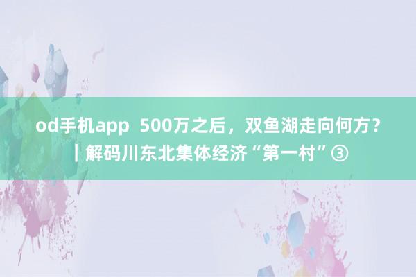 od手机app  500万之后，双鱼湖走向何方？｜解码川东北集体经济“第一村”③