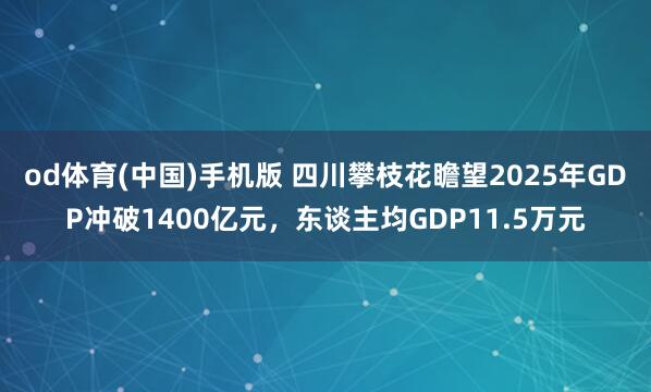 od体育(中国)手机版 四川攀枝花瞻望2025年GDP冲破1400亿元，东谈主均GDP11.5万元
