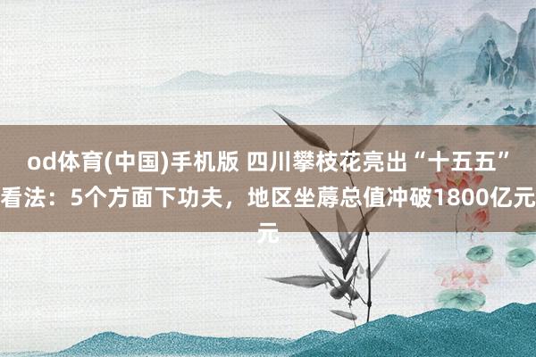 od体育(中国)手机版 四川攀枝花亮出“十五五”看法：5个方面下功夫，地区坐蓐总值冲破1800亿元