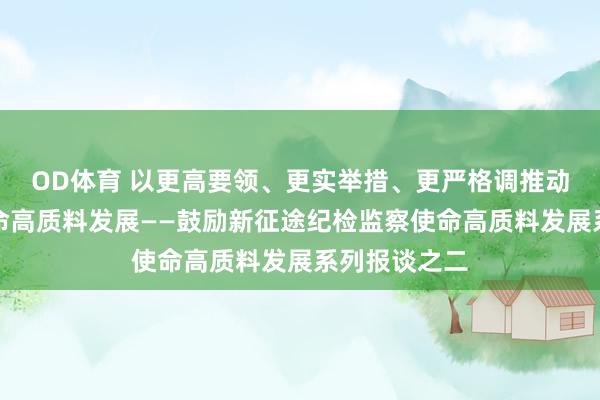 OD体育 以更高要领、更实举措、更严格调推动巡查巡察使命高质料发展——鼓励新征途纪检监察使命高质料发展系列报谈之二