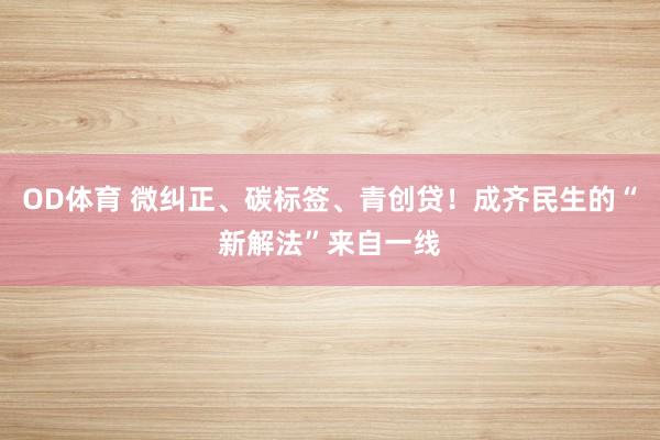 OD体育 微纠正、碳标签、青创贷！成齐民生的“新解法”来自一线