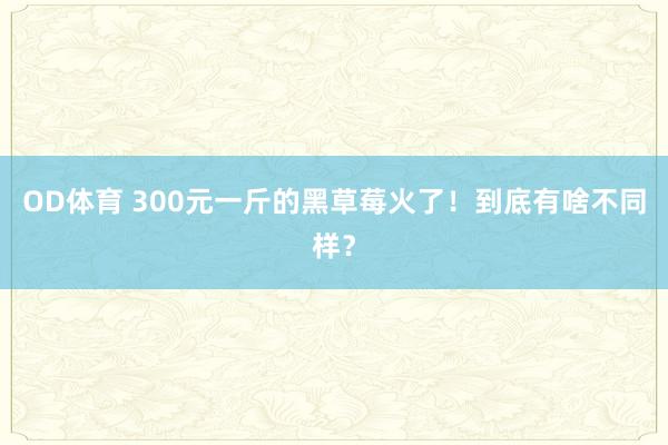OD体育 300元一斤的黑草莓火了！到底有啥不同样？