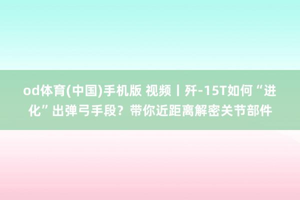 od体育(中国)手机版 视频丨歼-15T如何“进化”出弹弓手段？带你近距离解密关节部件