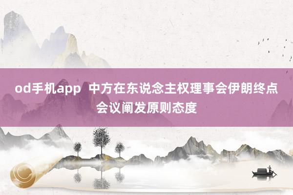 od手机app  中方在东说念主权理事会伊朗终点会议阐发原则态度