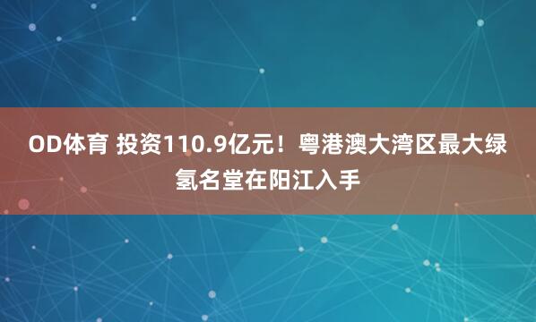 OD体育 投资110.9亿元！粤港澳大湾区最大绿氢名堂在阳江入手