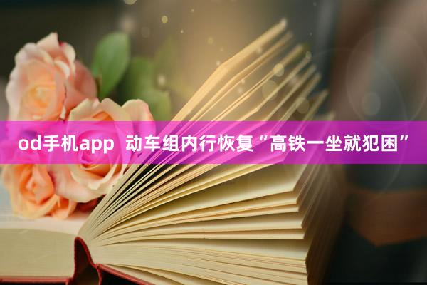 od手机app  动车组内行恢复“高铁一坐就犯困”