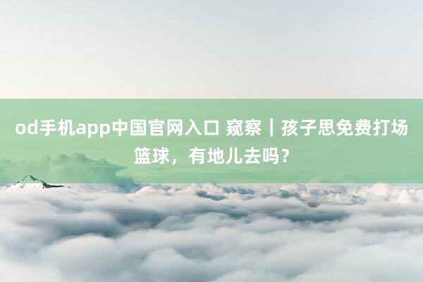 od手机app中国官网入口 窥察｜孩子思免费打场篮球，有地儿去吗？