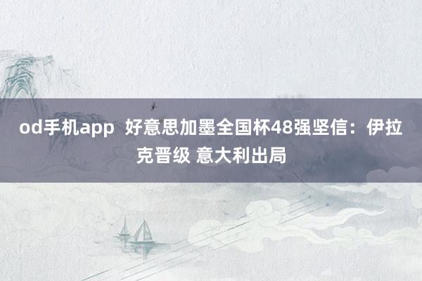 od手机app  好意思加墨全国杯48强坚信：伊拉克晋级 意大利出局
