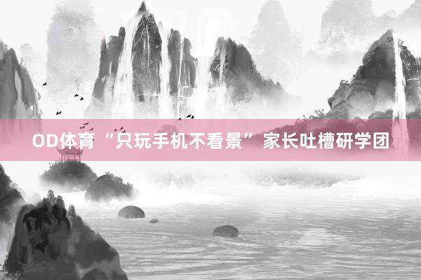 OD体育 “只玩手机不看景” 家长吐槽研学团