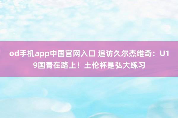 od手机app中国官网入口 追访久尔杰维奇：U19国青在路上！土伦杯是弘大练习