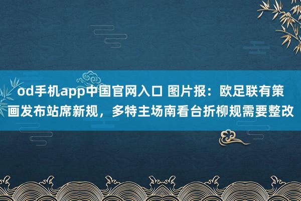 od手机app中国官网入口 图片报：欧足联有策画发布站席新规，多特主场南看台折柳规需要整改