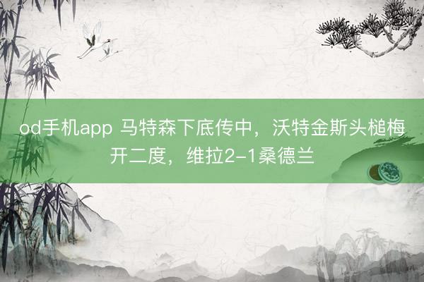 od手机app 马特森下底传中，沃特金斯头槌梅开二度，维拉2-1桑德兰