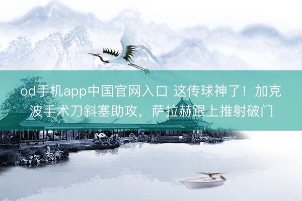 od手机app中国官网入口 这传球神了！加克波手术刀斜塞助攻，萨拉赫跟上推射破门