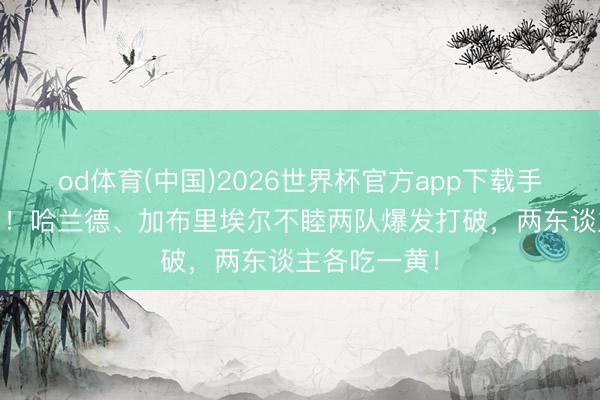 od体育(中国)2026世界杯官方app下载手机版 杠上了!哈兰德、加布里埃尔不睦两队爆发打破,两东谈主各吃一黄!