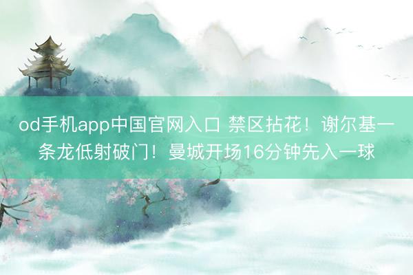 od手机app中国官网入口 禁区拈花！谢尔基一条龙低射破门！曼城开场16分钟先入一球