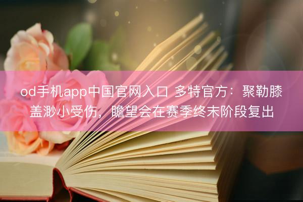 od手机app中国官网入口 多特官方：聚勒膝盖渺小受伤，瞻望会在赛季终末阶段复出