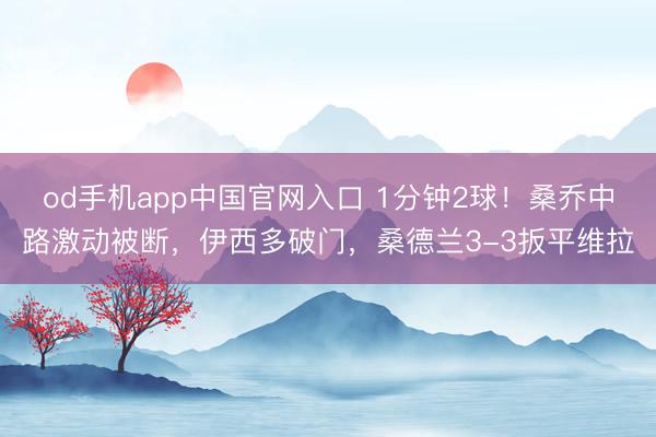 od手机app中国官网入口 1分钟2球！桑乔中路激动被断，伊西多破门，桑德兰3-3扳平维拉