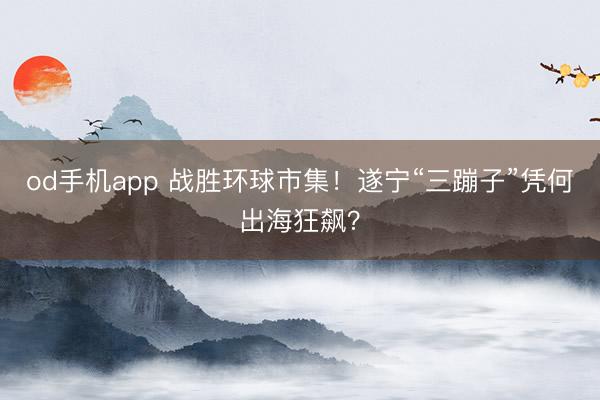 od手机app 战胜环球市集！遂宁“三蹦子”凭何出海狂飙？
