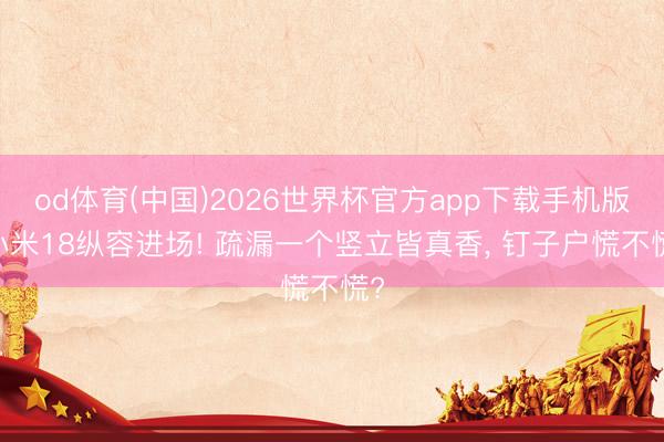 od体育(中国)2026世界杯官方app下载手机版 小米18纵容进场! 疏漏一个竖立皆真香， 钉子户慌不慌?