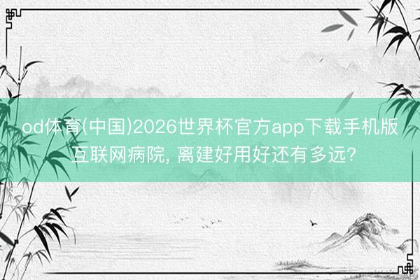 od体育(中国)2026世界杯官方app下载手机版 互联网病院， 离建好用好还有多远?