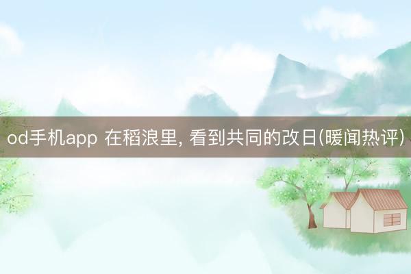 od手机app 在稻浪里， 看到共同的改日(暖闻热评)