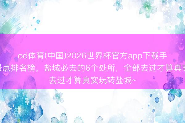 od体育(中国)2026世界杯官方app下载手机版 盐城景点排名榜，盐城必去的6个处所，全部去过才算真实玩转盐城~