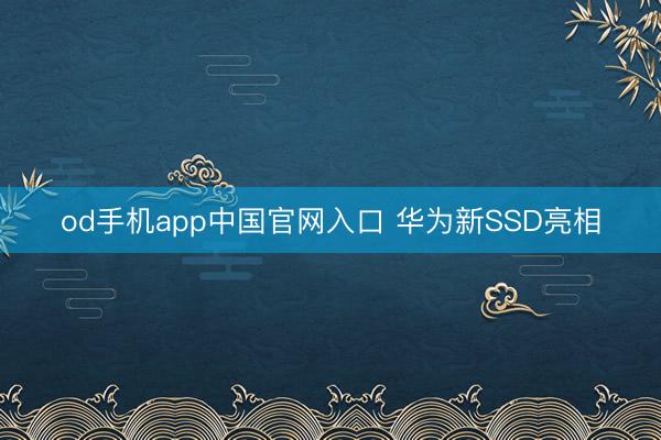 od手机app中国官网入口 华为新SSD亮相