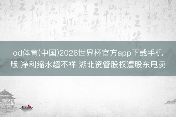 od体育(中国)2026世界杯官方app下载手机版 净利缩水超不祥 湖北资管股权遭股东甩卖
