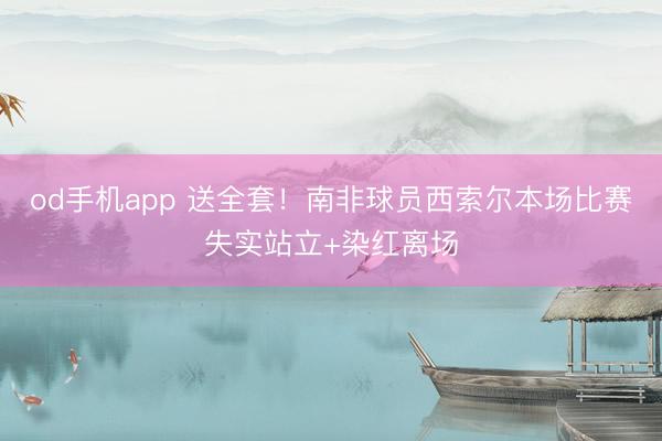 od手机app 送全套！南非球员西索尔本场比赛失实站立+染红离场