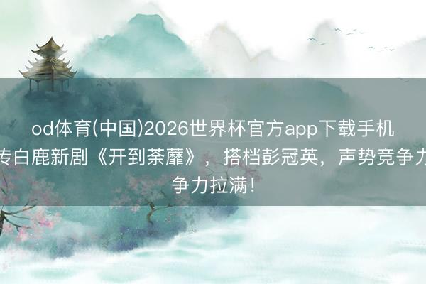 od体育(中国)2026世界杯官方app下载手机版 网传白鹿新剧《开到荼蘼》，搭档彭冠英，声势竞争力拉满！