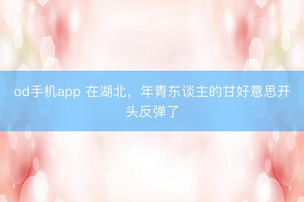 od手机app 在湖北，年青东谈主的甘好意思开头反弹了