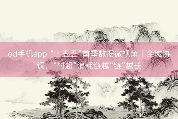 od手机app “十五五”首季数据微视角｜全域协调，“村超”消耗链越“链”越长