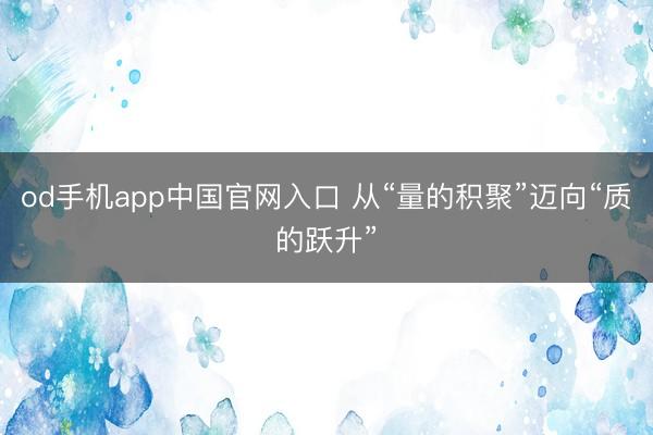 od手机app中国官网入口 从“量的积聚”迈向“质的跃升”