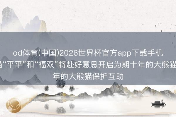 od体育(中国)2026世界杯官方app下载手机版 大熊猫“平平”和“福双”将赴好意思开启为期十年的大熊猫保护互助