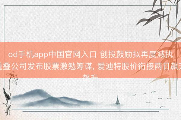 od手机app中国官网入口 创投鼓励拟再度减执重叠公司发布股票激勉筹谋， 爱迪特股价衔接两日飙升