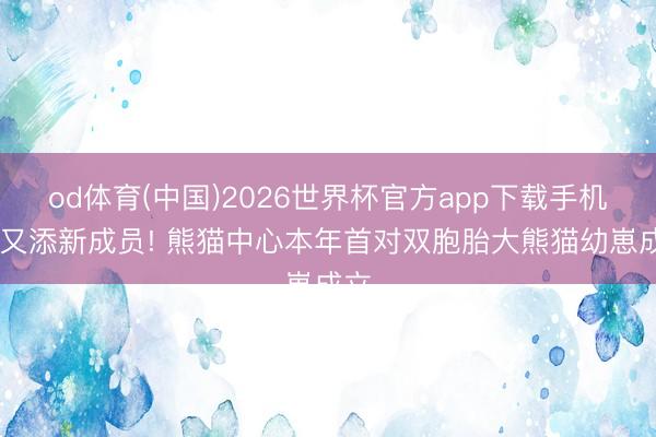 od体育(中国)2026世界杯官方app下载手机版 又添新成员! 熊猫中心本年首对双胞胎大熊猫幼崽成立